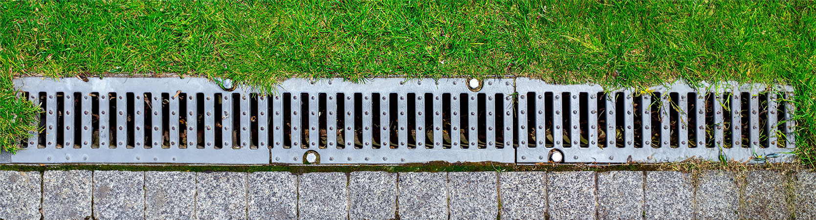 Garden watering scene