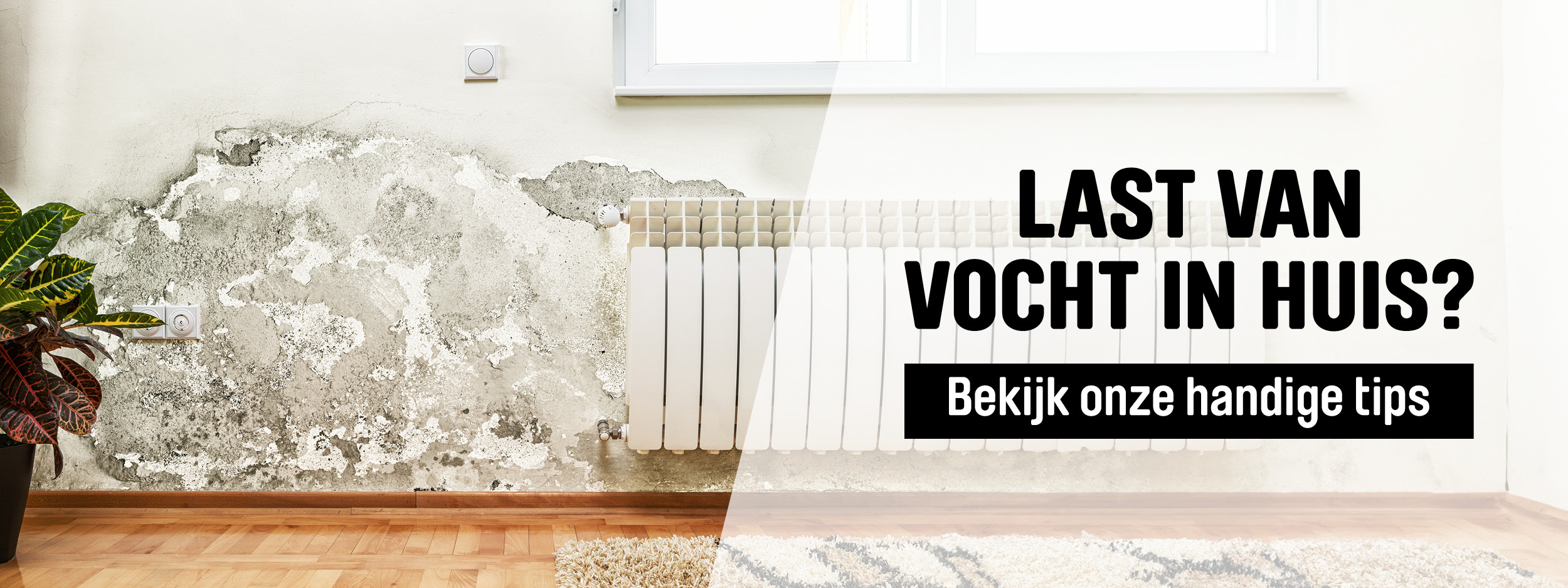 Garden watering scene