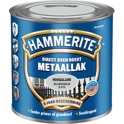 Hammerite Hammerite hoogglans metaallak 250ml zilvergijs S015 10950 van Toolstation