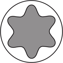 Dynaplus universele schroeven platkop deeldraad gecoat