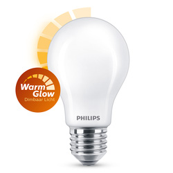 Philips LED lamp mat E27