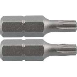 Labor / Labor standaardbits TX30x25mm