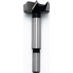 Labor Labor forstnerboor 25mm 63981 van Toolstation