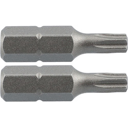 Labor / Labor standaardbits TX15x25mm