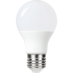 Integral LED Integral LED lamp standaard mat E27 4,8W 470lm 2700K - 74964 - van Toolstation