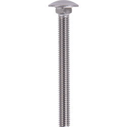 Slotbouten RVS M10x110mm