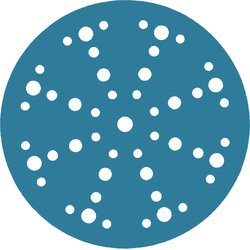 Agera / Proline Prof Schuurschijf Ø150mm 1