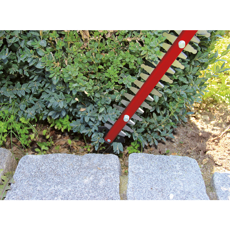 Einhell GC-EH 6055/1 heggenschaar