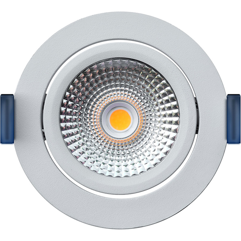 EcoDim / Eco-Dim LED inbouwspot kantelbaar