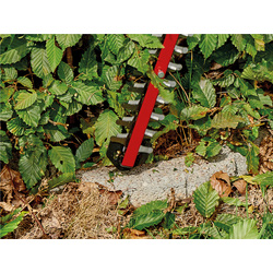 Einhell / Einhell ARCURRA Li Solo accu heggenschaar (body) 16
