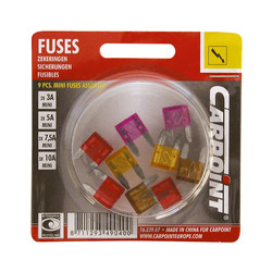 Carpoint / Mini steekzekeringen set 2