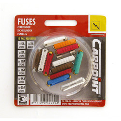 Carpoint / Steenzekeringen assortiment 2