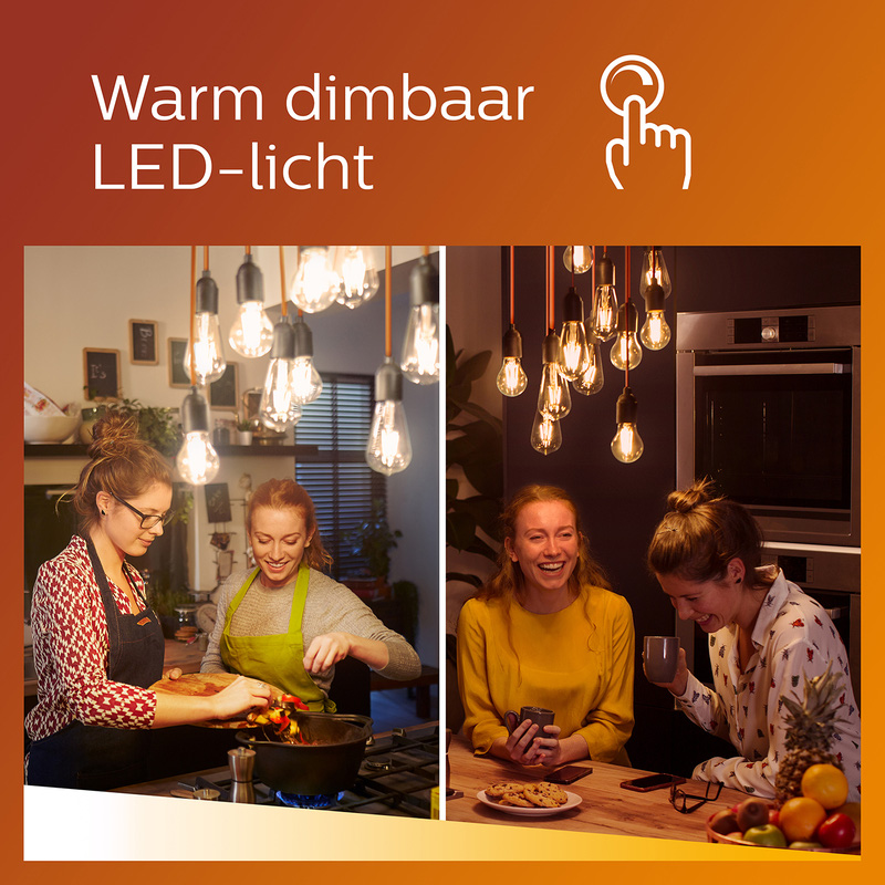 Philips / Philips LED lamp mat E27